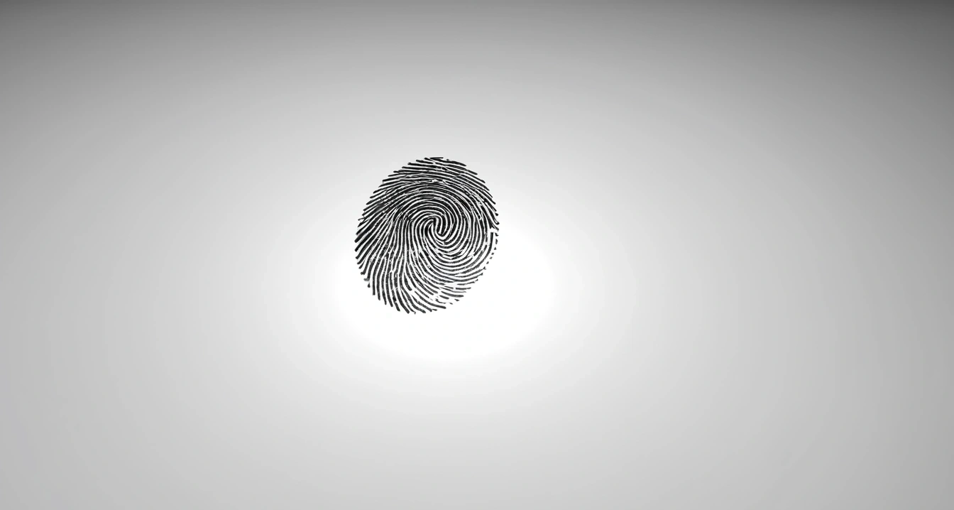 a high end fingerprint recognition how t 1